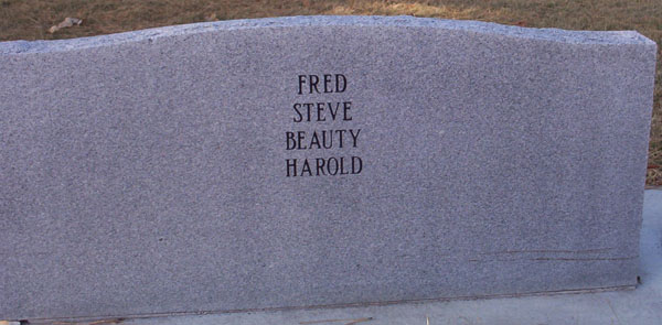 Headstone Back